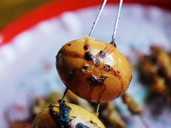 生烤鸡蛋-北三老太太烧烤(人生一串上榜店)