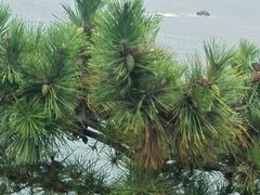 -南京金牛湖风景区