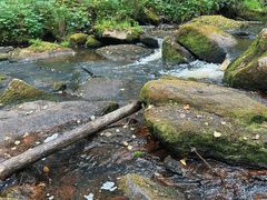-汤旺河林海奇石景区