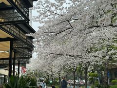 -玛格萝妮比萨屋(四平店)