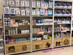 -美联众合动物医院·24h京西诊疗中心