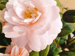 -利群海琴购物广场(商丘路店)