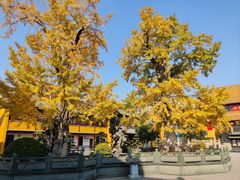 -圆通寺