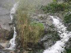 -象头山国家级自然保护区