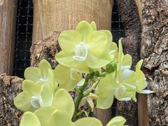 -北京植物园-展览温室