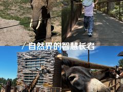 -太原动物园