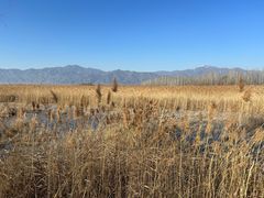 -野鸭湖国家湿地公园