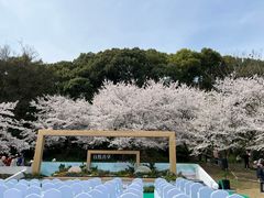 -苏州上方山国家森林公园