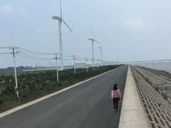 -上海长兴岛郊野公园