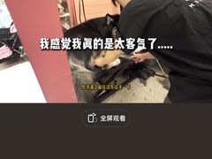 -FAELING PETS美天灵宠物(合生汇店)