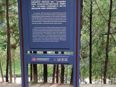 -延安杨家岭革命旧址