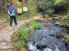 -红山村