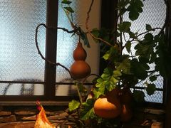 -洞庭土菜馆(天河北总店)
