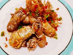 皮皮虾-北塘海鲜·天津菜(大光明桥旗舰店)