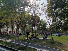 -灞河西岸滨河公园