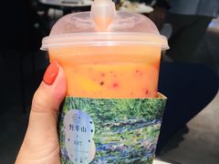 -野萃山·潮汕厚果汁(十亩地店)