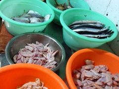 android_upload_pic-阿明烧烤·烤鱼·小龙虾(水清路店)