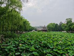 -莲池书院博物馆
