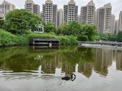 -成都南湖公园