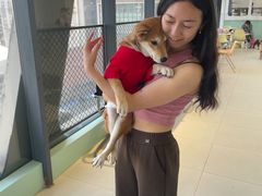 -怪兽屋·羊驼·猫咖·狗咖(俊华广场店)