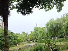-堤角公园