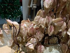 -万达广场(南昌红谷滩店)
