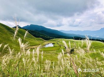 曾尔高原是位于奈良县宇陀郡曾尔村大字太郎路的高原