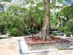 -三亚亚龙湾凯莱仙人掌度假酒店