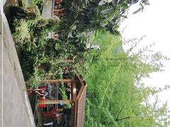 -源泉冷水鱼庄(小鱼洞店)
