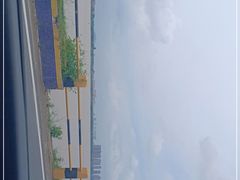 -八仔大富楼·河鲜(西江店)