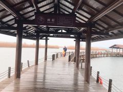 -苏州太湖湖滨国家湿地公园