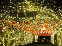 -运河游船(武林门码头)