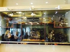 门面-燕春楼(海河华鼎店)