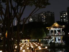 -深圳龙潭公园