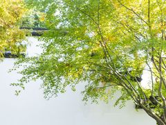 -上海醉白池公园