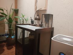 -畅和茶坊·曦瓜中国大红袍
