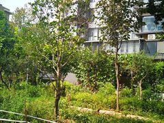 -首开·常青藤二期