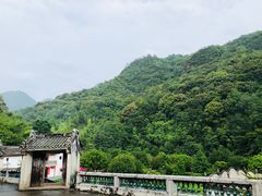 -雁南飞茶田景区