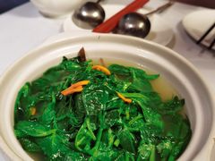 鸡汤豆苗-巴蜀风月·聚会团建·生日宴(宝安店)