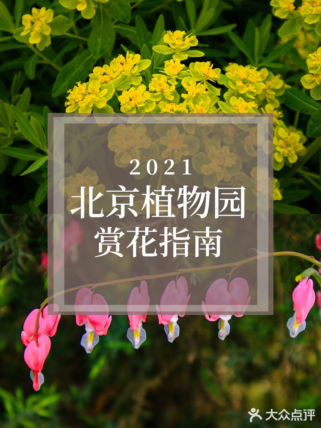 五一赏花指南：北京最美的花儿，这里都有