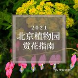 五一赏花指南：北京最美的花儿，这里都有