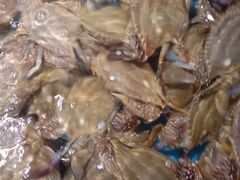 -拉完海鲜大排档(温岭店)