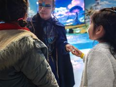 -海合安武汉极地海洋公园