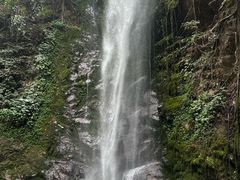 -莫里热带雨林景区
