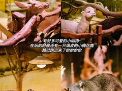 -正佳雨林生态植物园