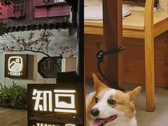 -知亘茶食