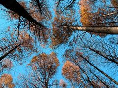 -山王坪喀斯特国家生态公园