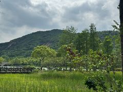 -长广溪湿地公园
