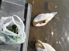 -无锡动物园·太湖欢乐园