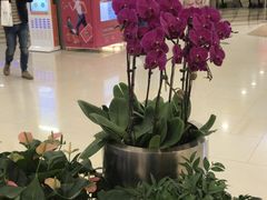 大堂-和府捞面(西溪印象城店)